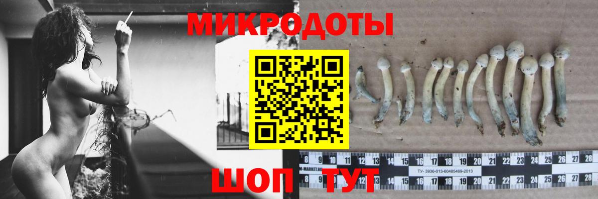 Галлюциногенные грибы мухоморы  Вход с VPN  Кострома 